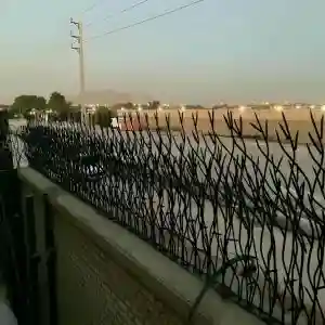 حفاظ بوته ای تراکم 67 در اهواز حفاظ بوته ای تراکم 67 در اهواز