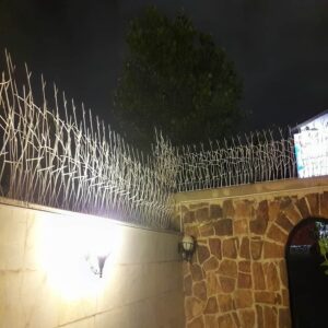 حفاظ شاخ گوزنی تراکم 40 در اهواز
