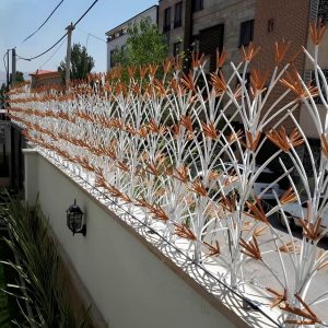 حفاظ لیلیوم در اهواز