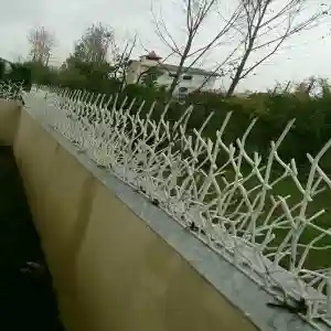 ساخت حفاظ شاخ گوزنی در اهواز