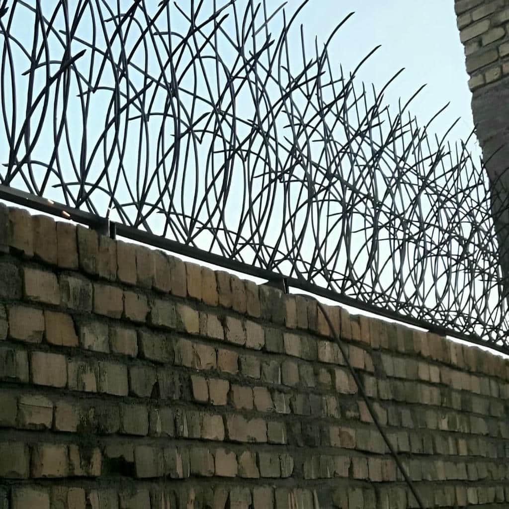قیمت و خریدحفاظ شاخ گوزنی اهواز
