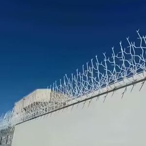 کاربردهای حفاظ شاخ گوزنی در اهواز