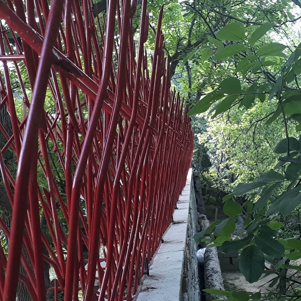 حفاظ بوته ای تراکم 53 در اهواز