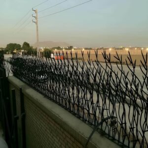 حفاظ بوته ای تراکم 67 در اهواز