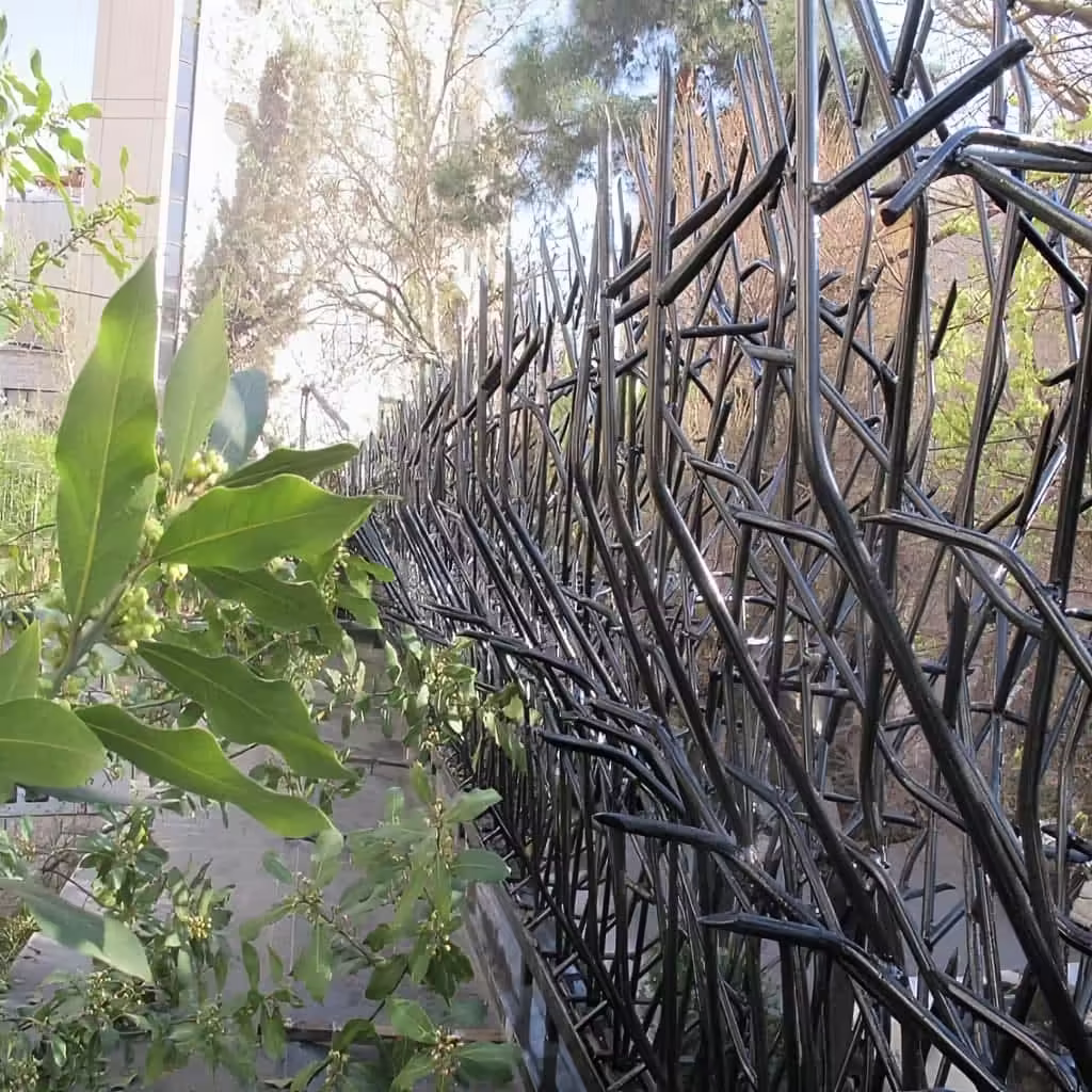 قیمت حفاظ بوته ای در اهواز