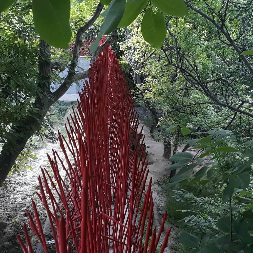 حفاظ بوته ای تراکم 88 در اهواز