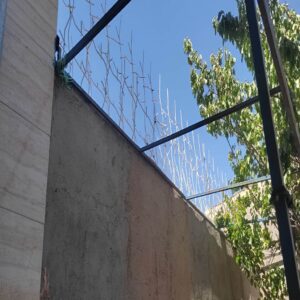 حفاظ شاخ گوزنی تراکم 22 اقتصادی در اهواز