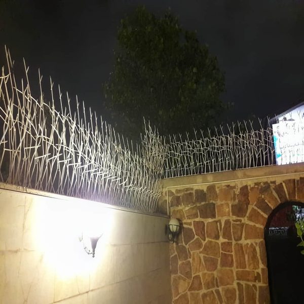 حفاظ شاخ گوزنی تراکم 40 در اهواز