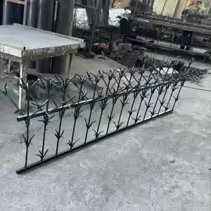 حفاظ شمشادی در اهواز
