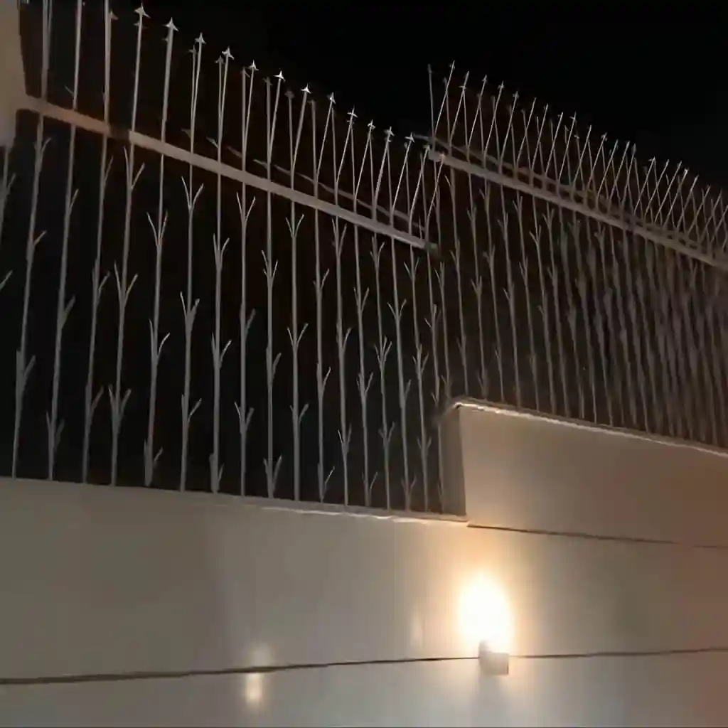 حفاظ شاخ گوزنی اهواز