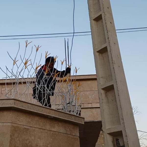 حفاظ غنچه ای در اهواز