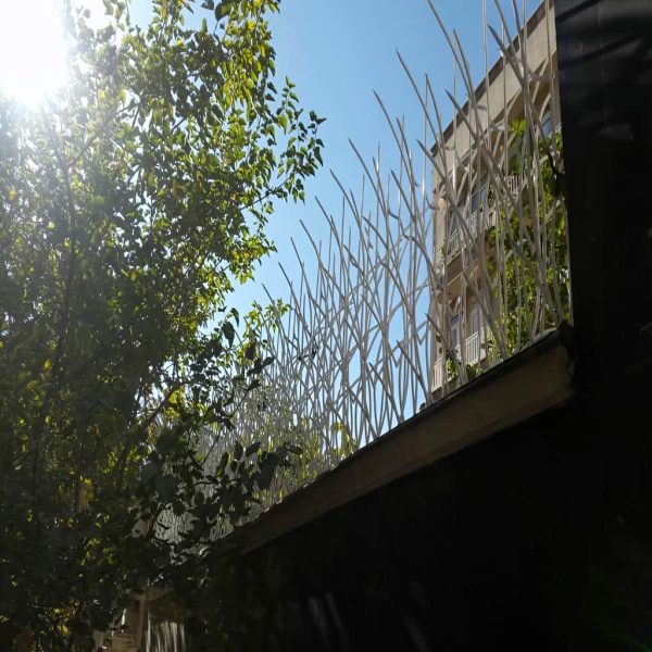حفاظ نیزار در اهواز