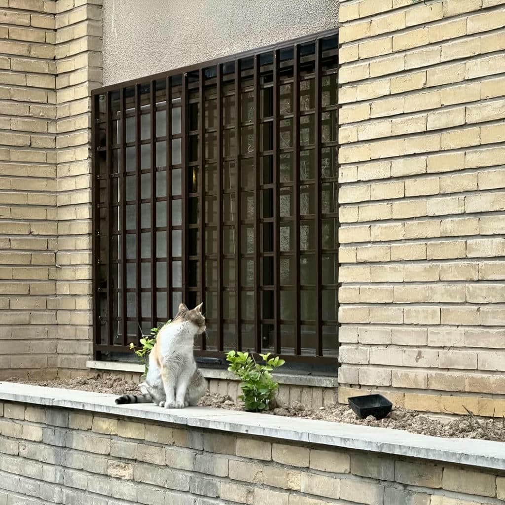 حفاظ پنجره شیک قاب دار مدل هندسی در اهواز حفاظ پنجره شیک قاب دار مدل هندسی در اهواز