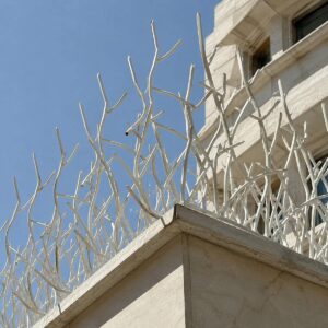 7 طرح حفاظ شاخ گوزنی دیوار باغ ویلا در اهواز
