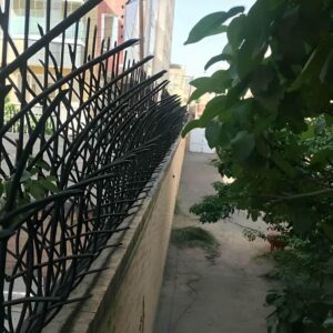 13 نمونه حفاظ نیزار دیوار باغ در اهواز
