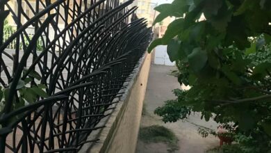13 نمونه حفاظ نیزار دیوار باغ در اهواز