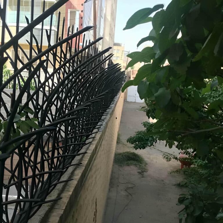 13 نمونه حفاظ نیزار دیوار باغ در اهواز
