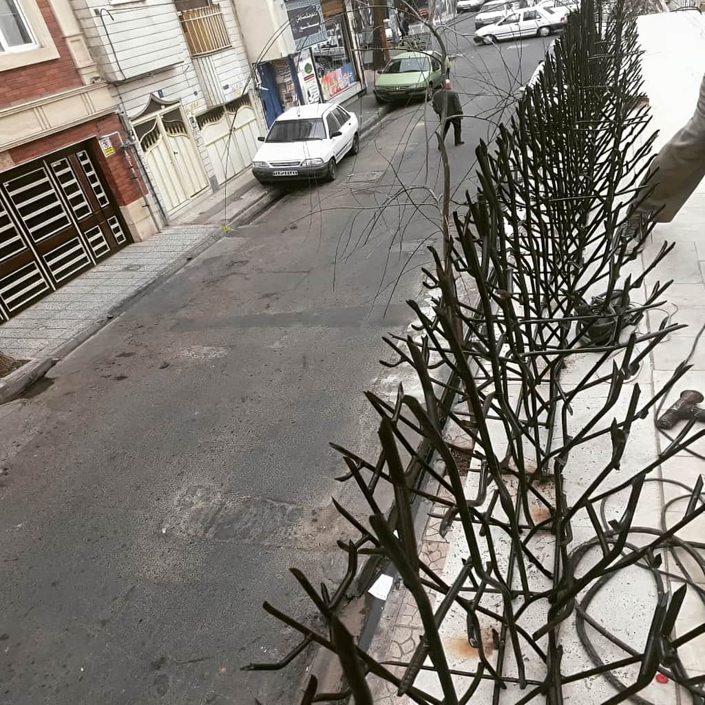 حفاظ بوته ای اهواز نمای ساختمان