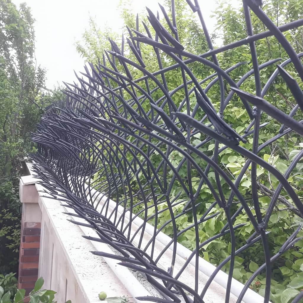 نرده حفاظ دیوار با طراحی غنچه ای