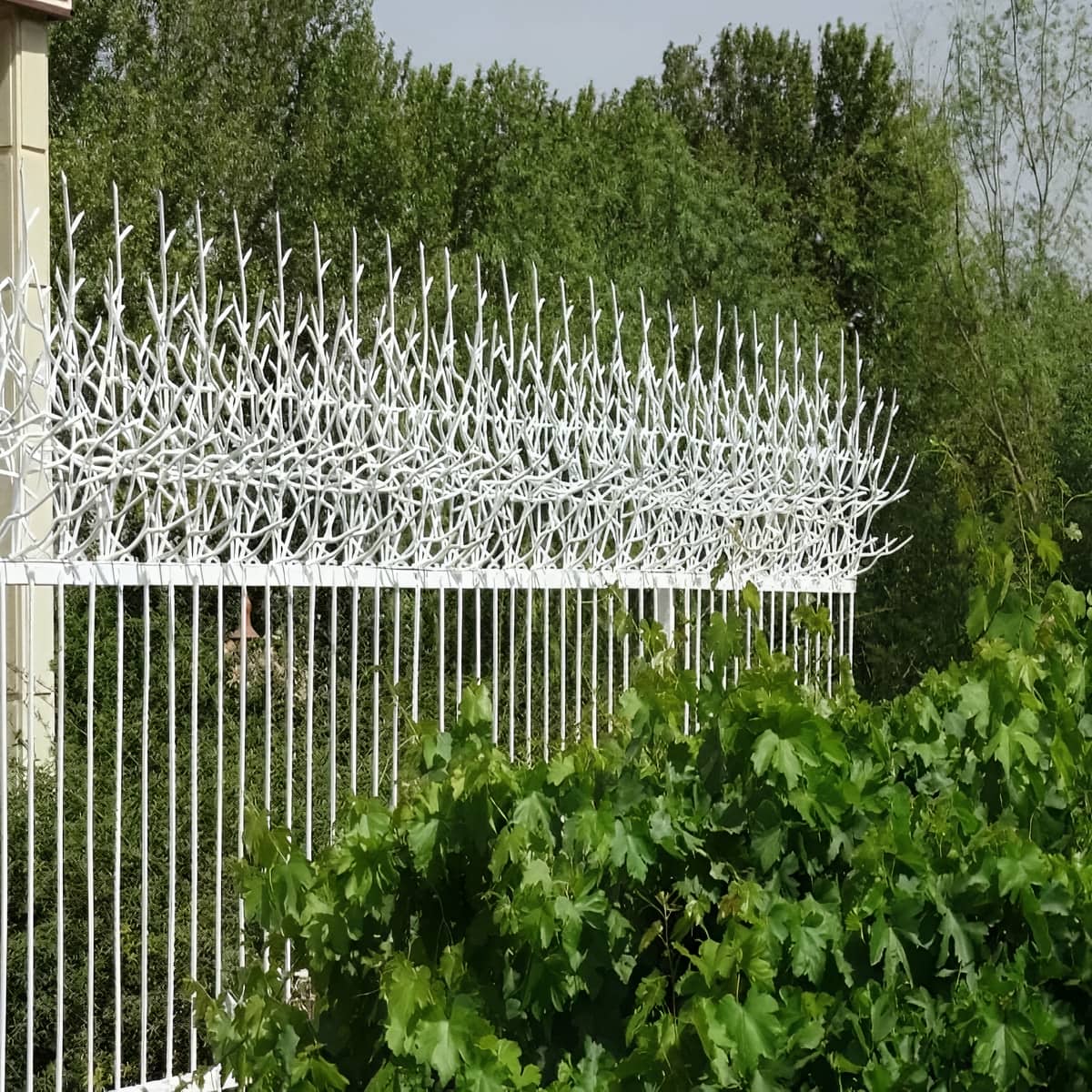 مرکز فروش حفاظ شاخ گوزنی طرح f در اهواز