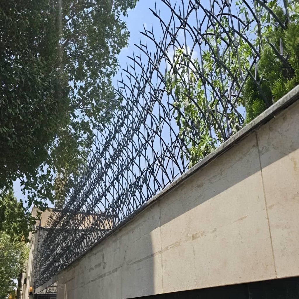 حفاظ شاخ گوزنی ویلا اهواز با پوشش رنگی