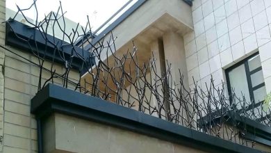 حفاظ روی دیوار اهواز با طرح شاخ گوزنی فلزی
