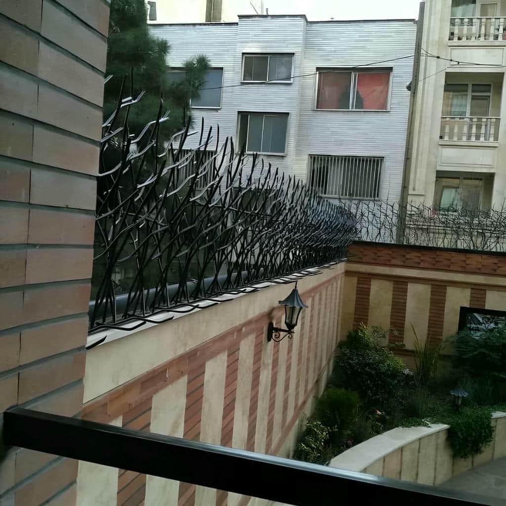 حفاظ شاخ گوزنی دیوار ساختمان